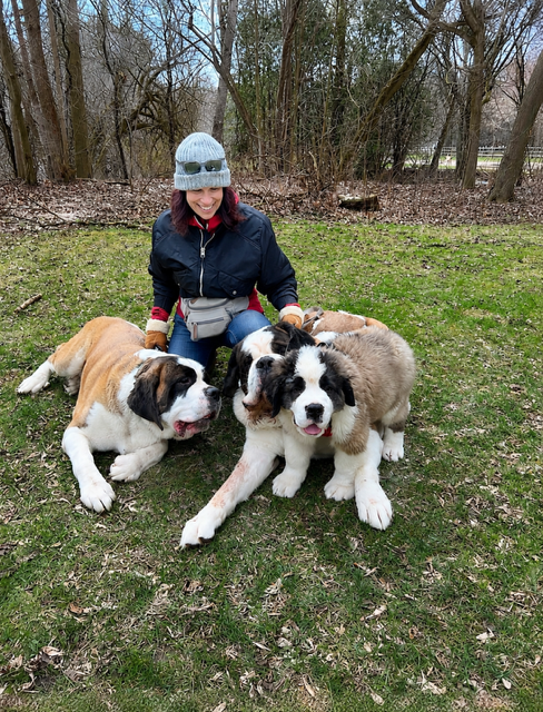The founder with Saint Bernards